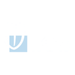 IKAV Logo